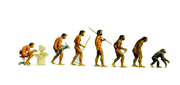 EVOLUCION PA'TRAS