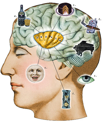 Free-IQ-Test-And-Free-Results