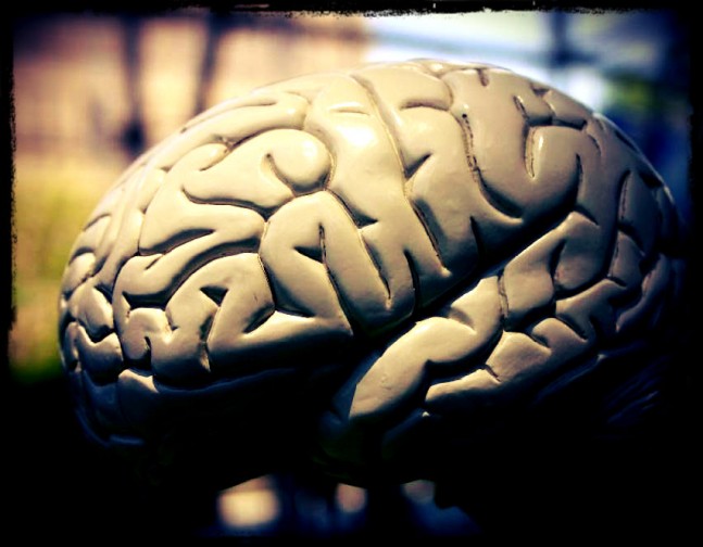 INSTAGRAMCEREBRO