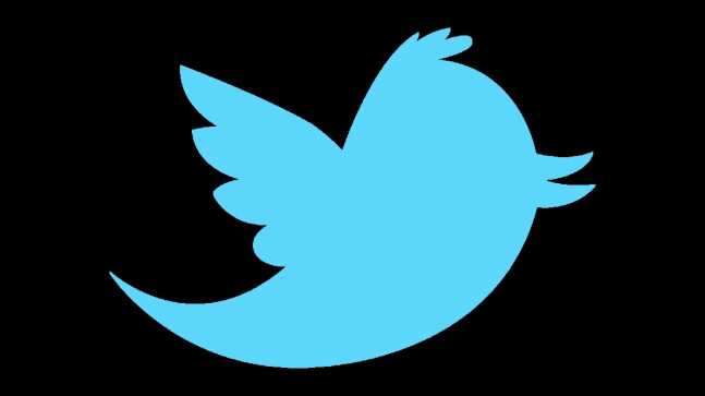 new_twitter_bird_vector_by_eagl0r-d2yth6g1