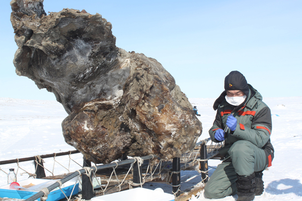 mamut2_172737