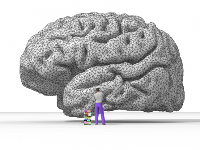 brain