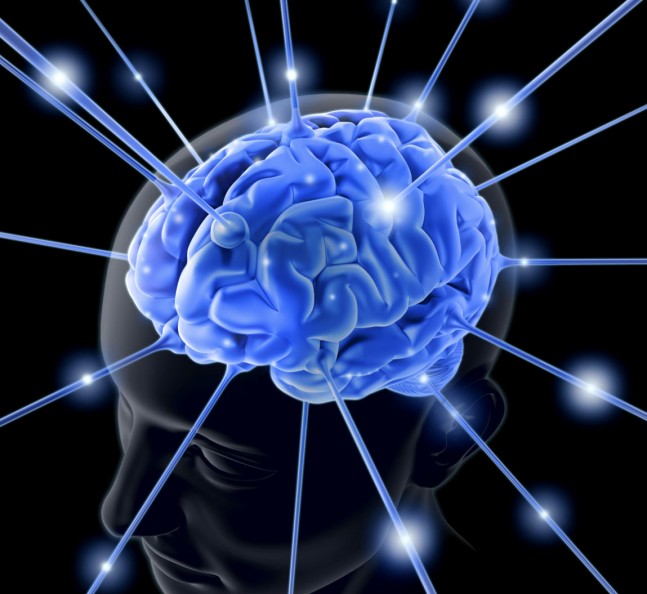 cerebro_1