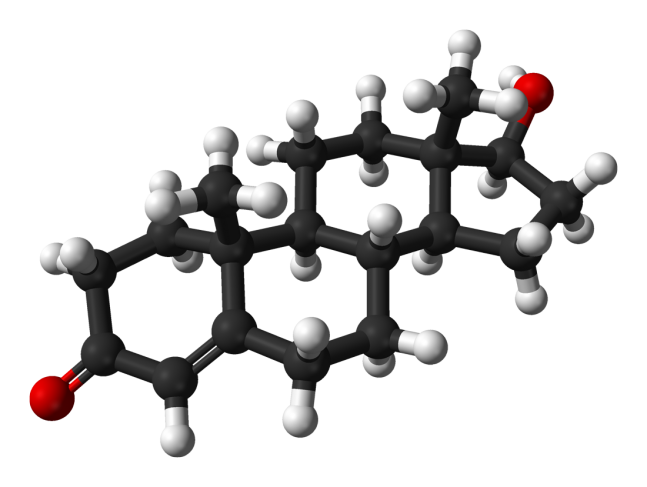 Testosterone-from-xtal-3D-balls