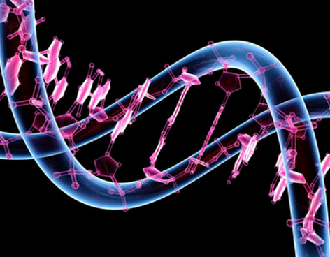 genes2406
