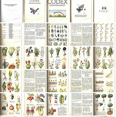 codex (1)