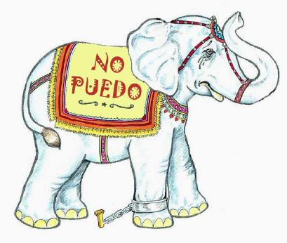 elefante-encadenado1