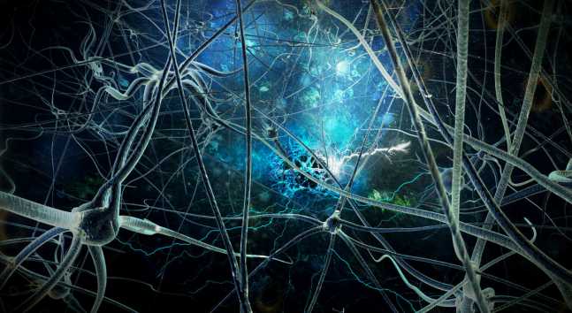 Neuron