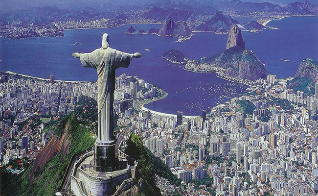 COPA MUNDIAL-ANIMALES AMAZONICOS
