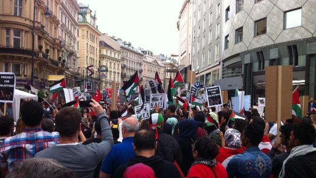 Manifestantes-propalestinos-Viena-Luz-Escobar_CYMIMA20140721_0007_13