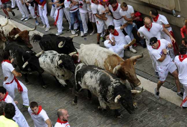 Runners sprint with Torrestrella fighting bulls on Santo Domingo street during the first running of the bulls of the San Fermin festival in Pamplona