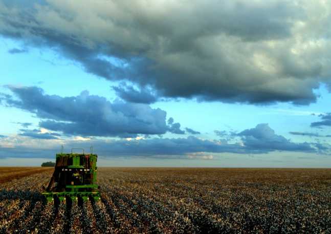 Agricultura