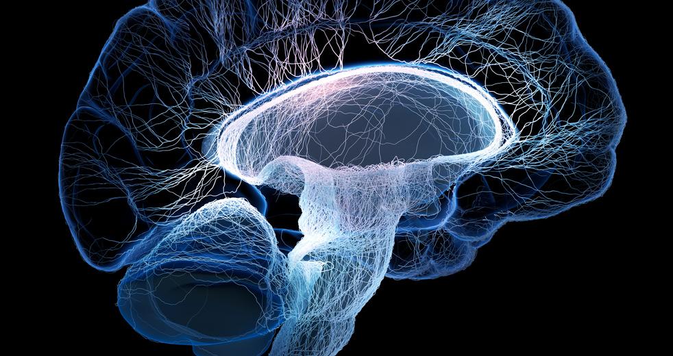 Cerebro