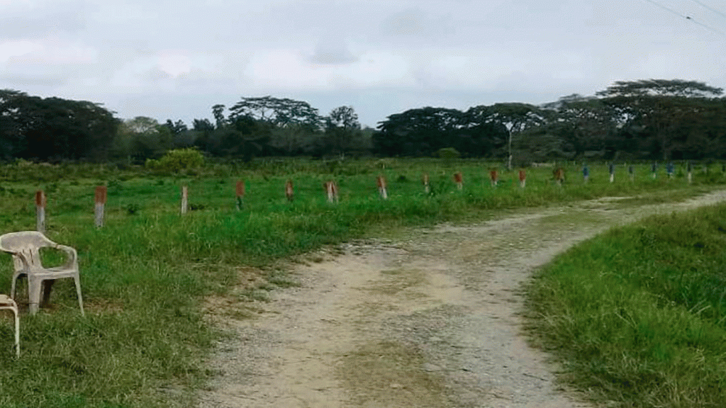 Violencia en Mérida no se quiere mover de la zona Panamericana