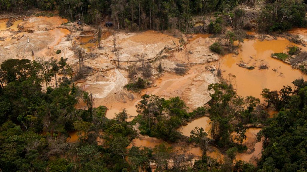 Academias Nacionales se pronuncian contra la minería ilegal en Amazonas y Bolívar