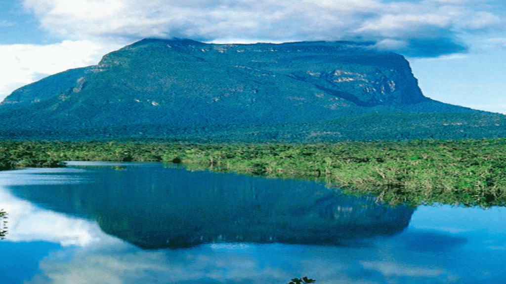 Minería ilegal avanza en Parque Nacional Yapacana