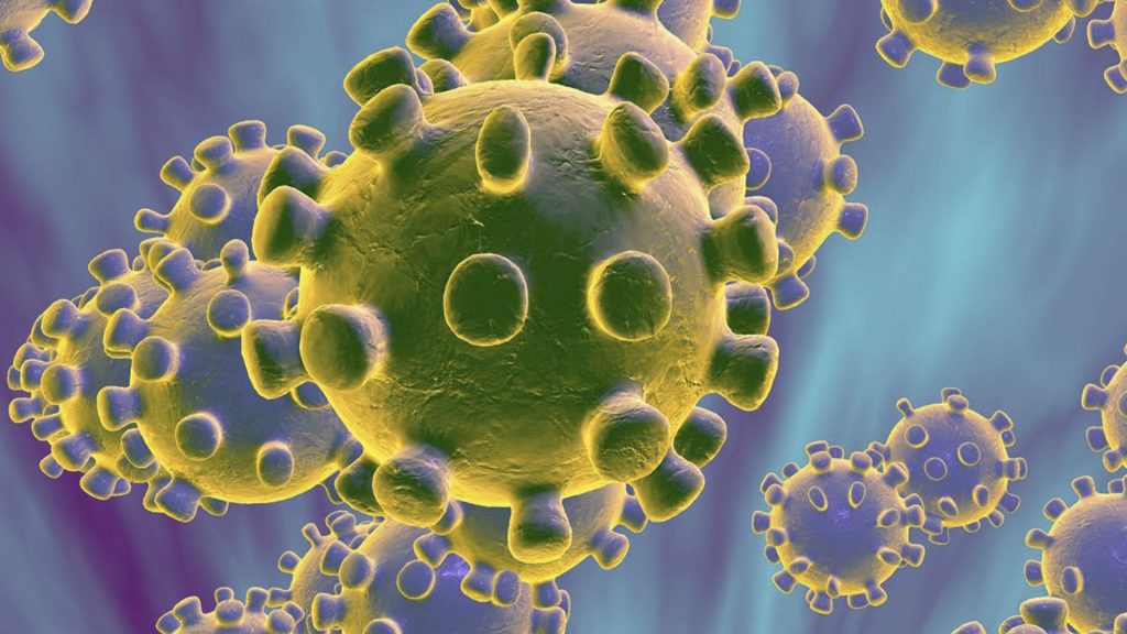 Reporte coronavirus