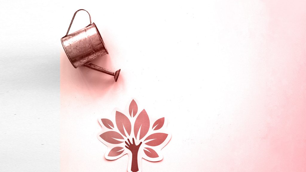 Little is beautiful, por Julio Castillo Sagarzazu