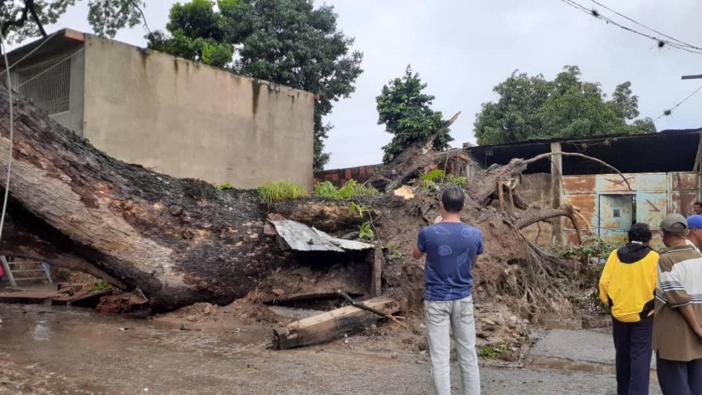Venezuela acumula 3 muertes y miles de afectados por lluvias en noviembre