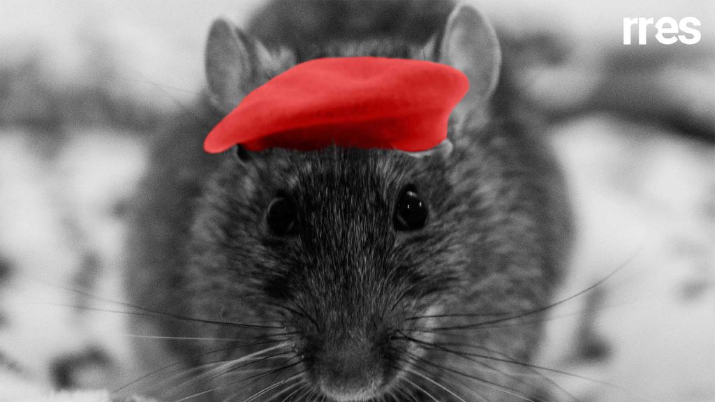 Rata de rojo