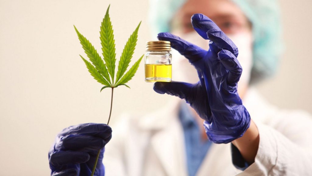 propiedades medicinales cannabis