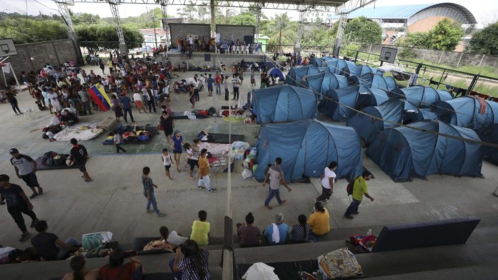 migrantes