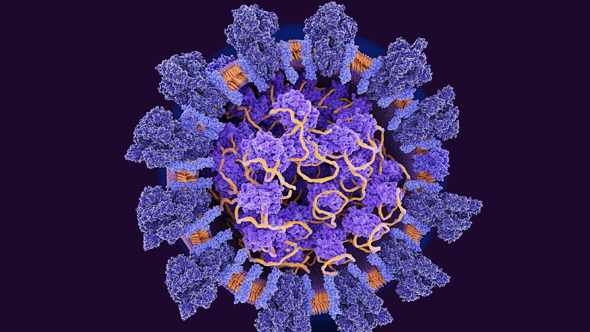 Variante ómicron y ocho cosas que usted debe saber sobre las mutaciones de los virus