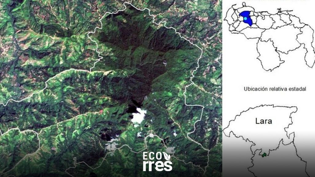 Identifican nuevas especies en el Parque Natural Montaña Los Pozuelos tras inventario de biodiversidad