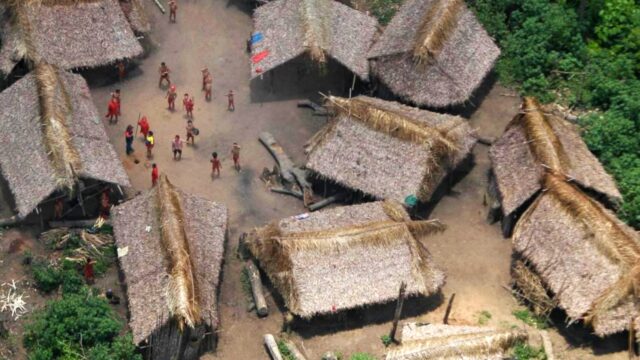yanomami