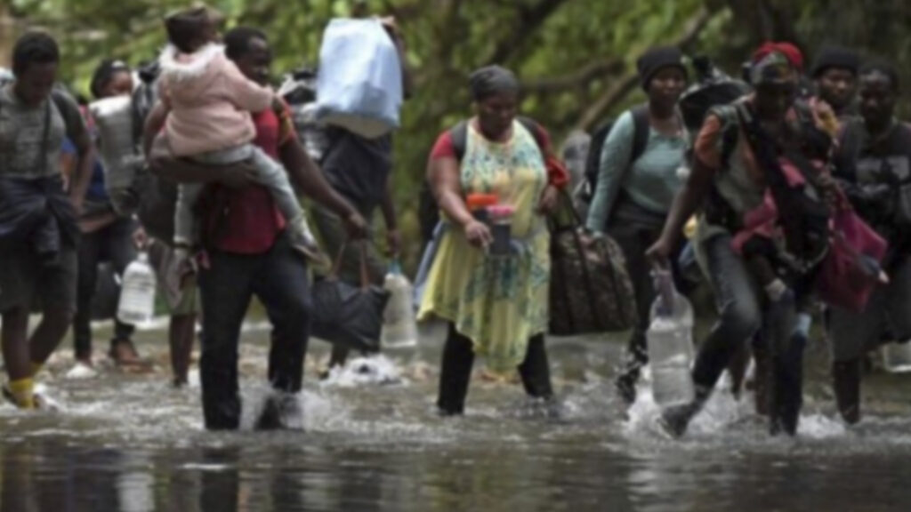 venezolanos