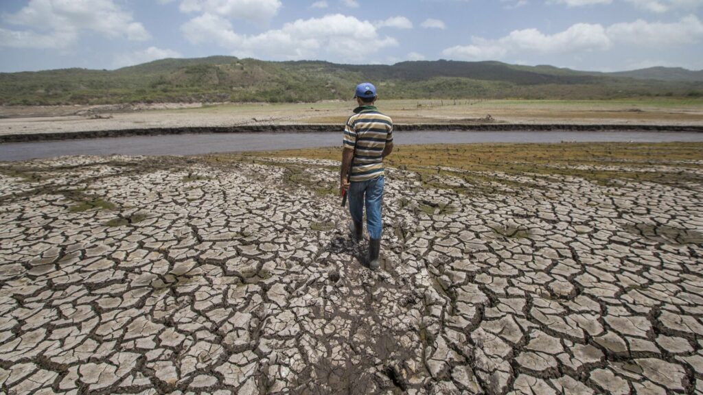efectos de El Niño