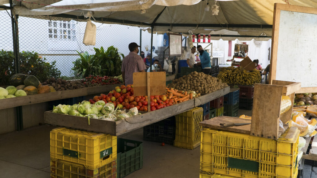 canasta alimentaria
