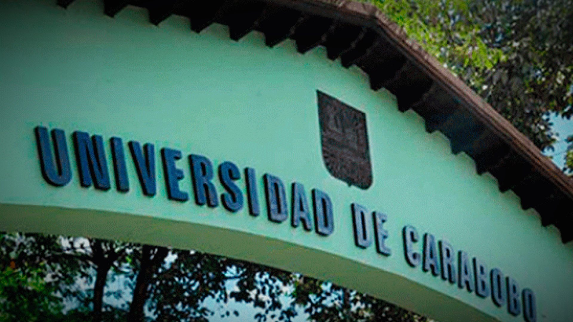 universitarios