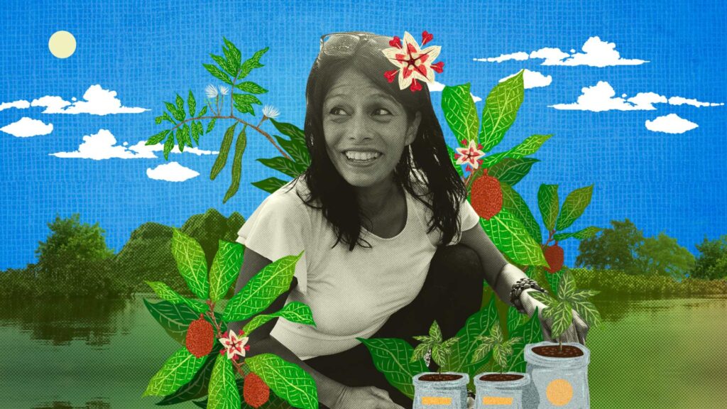 indñigena