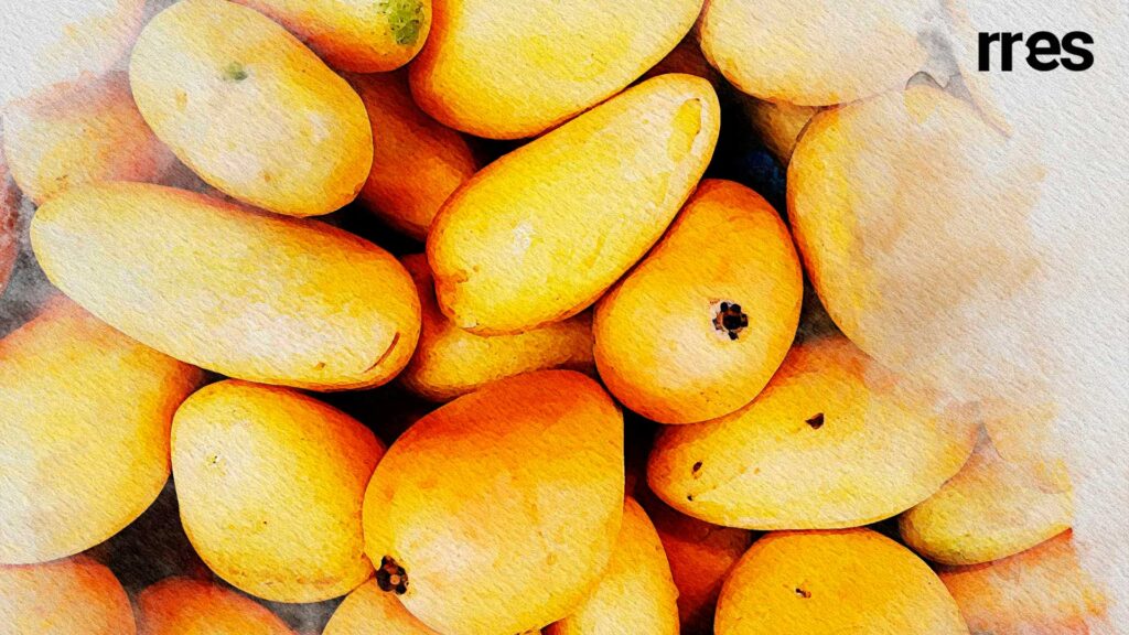 Los amigos en Venezuela son como los mangos, por Reuben Morales