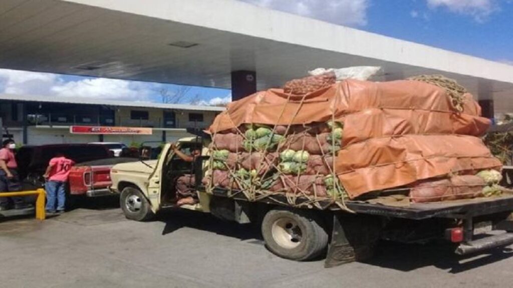 alimentos