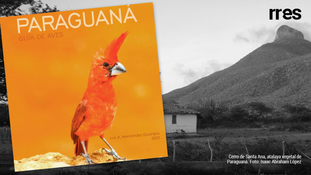 Paraguaná. Guía de aves. De las cosas más importantes de esta hora, por Isaac Abraham López