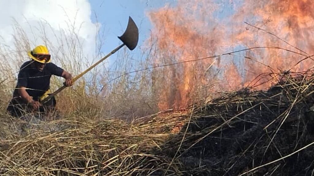 Incendio forestal en el Henri Pittier