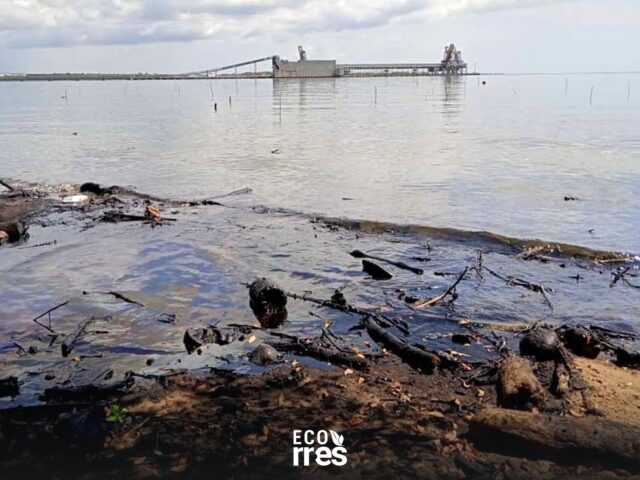 crisis ambiental