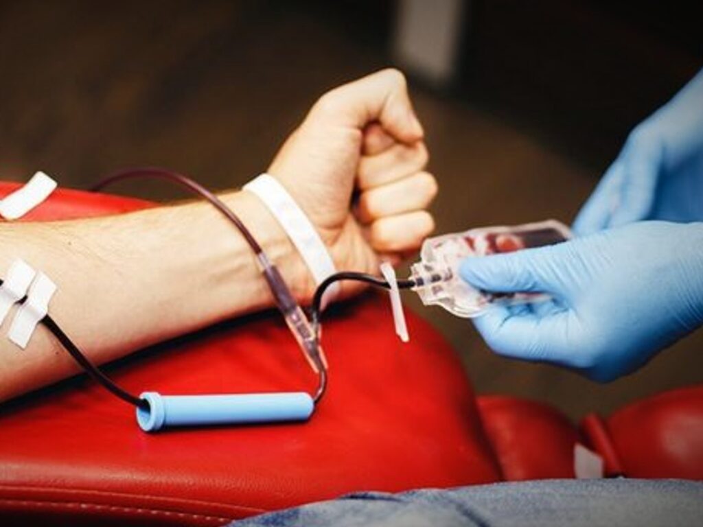 donación sangre