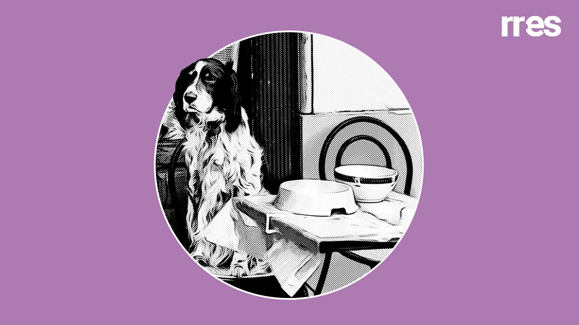 De los mismos creadores del pet friendly, por Reuben Morales @ReubenMoralesYa