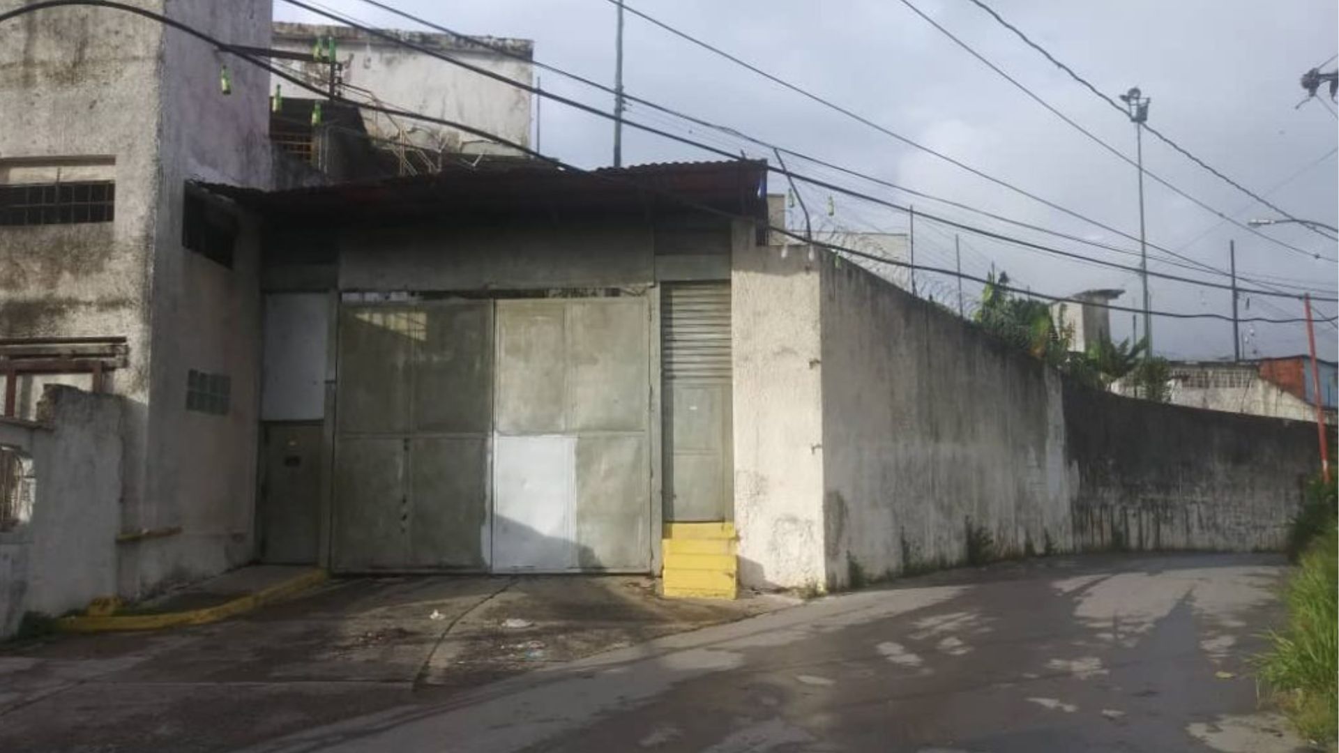 Crisálida