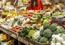 alimentaria