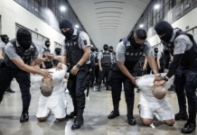 venezolanos Salvador