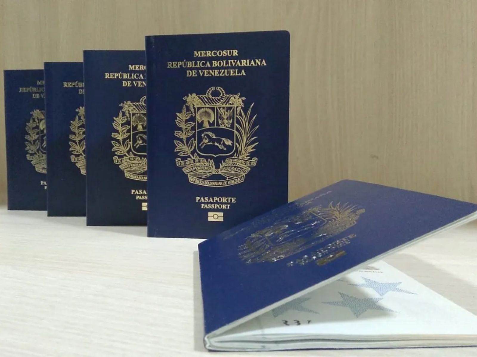 CIDH pasaportes