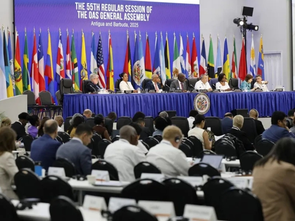 organización terrorista