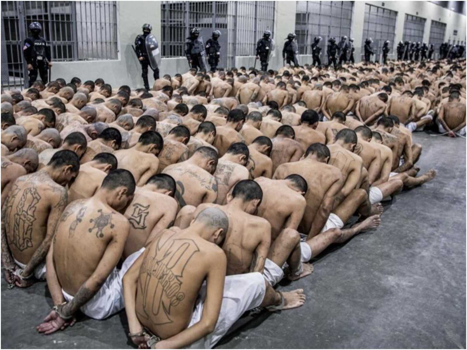 trump maduro