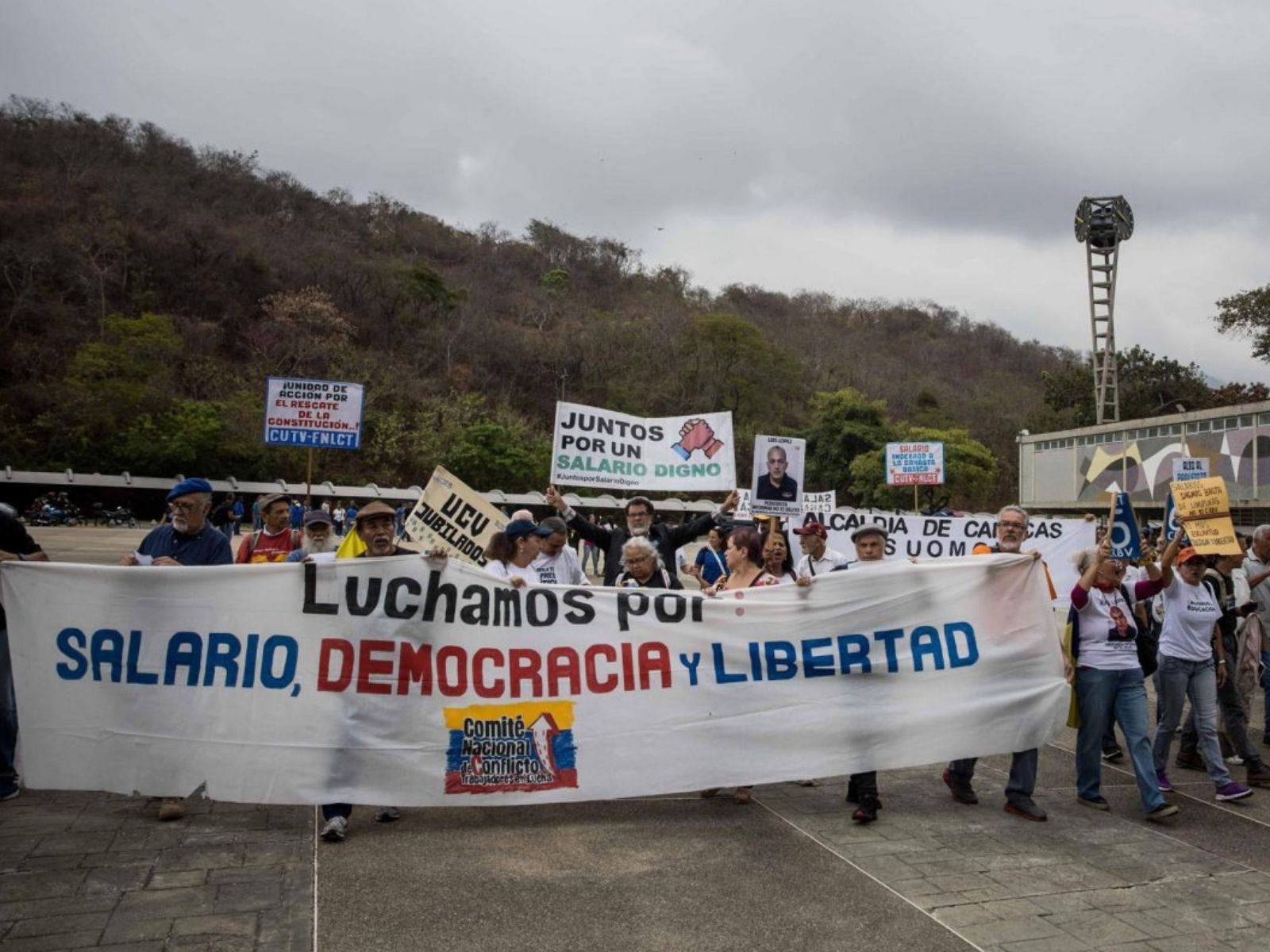 docente universitario