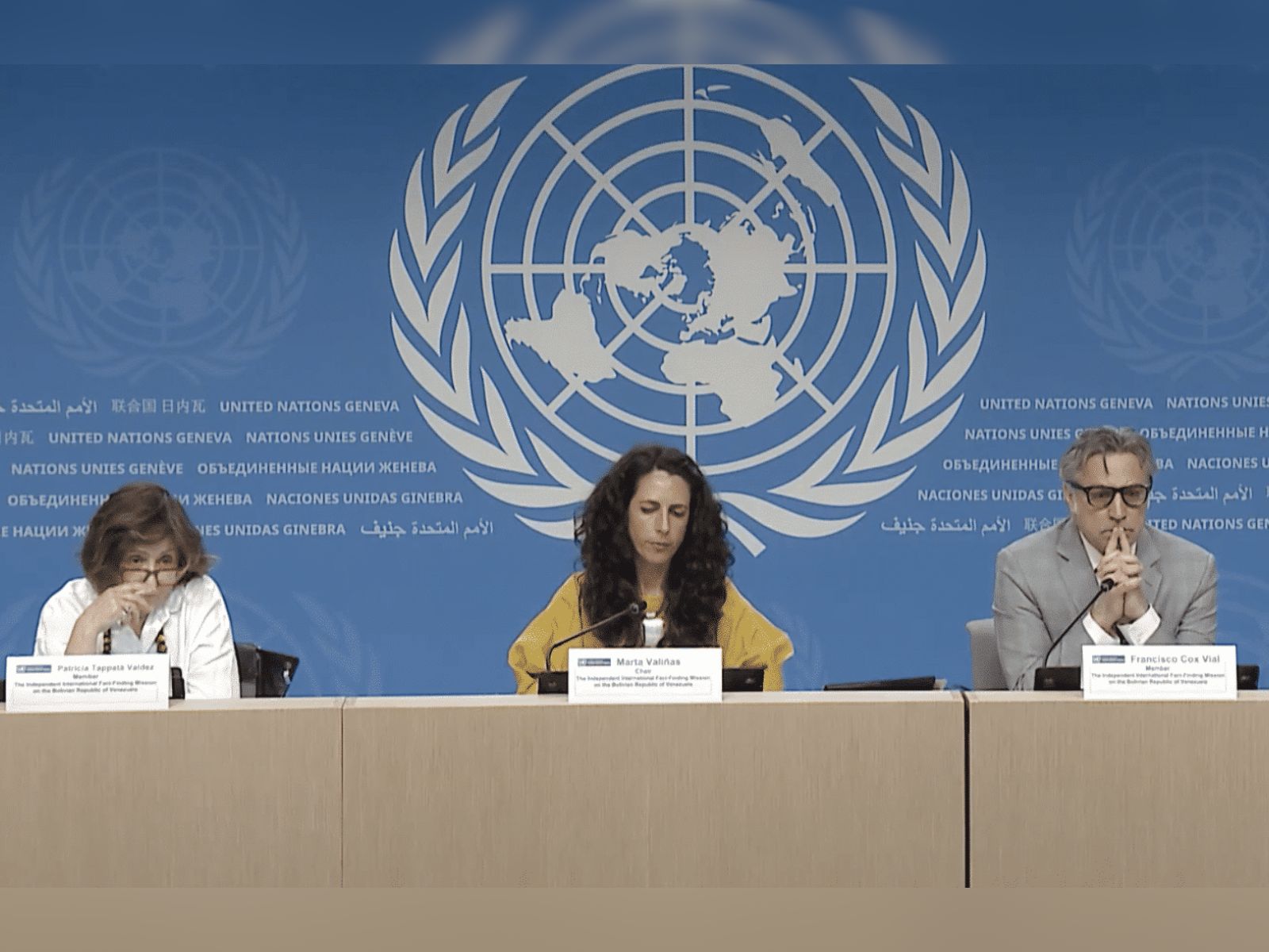 expertos Misión de la ONU