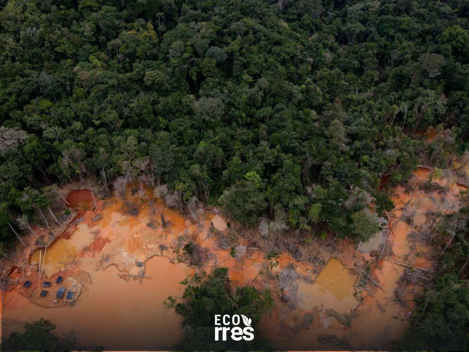 Minería ilegal